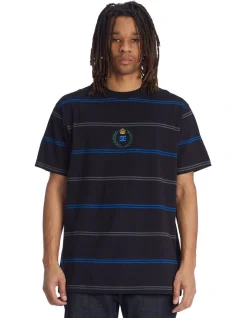 DC Regal Stripe Short Sleeve T-Shirt In Multi
