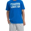 Champion Sporty Tee In Blue