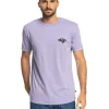 Quiksilver Another Side Short Sleeve T-Shirt In Purple Haze