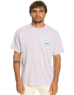 Quiksilver Balanced Out T-Shirt In Purple