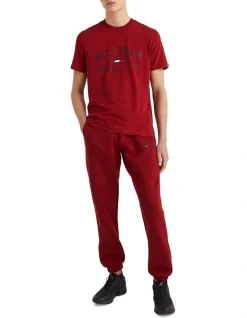 Tommy Hilfiger Graphic Short Sleeve Tee In Regatta Red