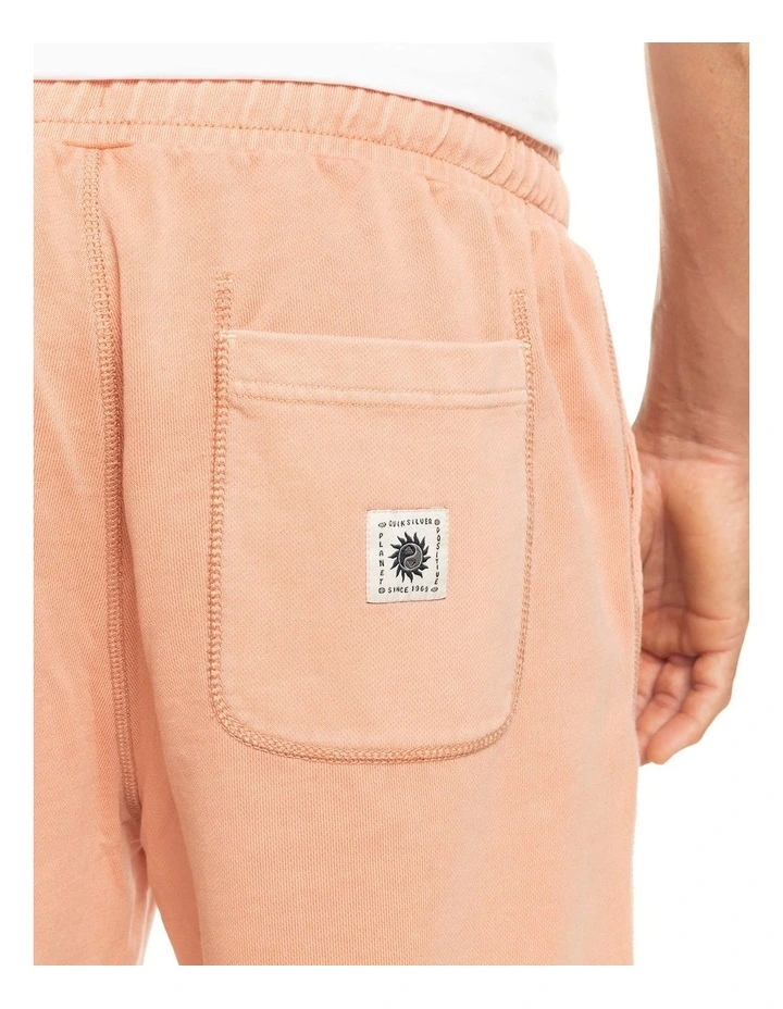 Quiksilver Trip Away Tracksuit Shorts In Beige 5 Quiksilver Trip Away Tracksuit Shorts In Beige - Image 5