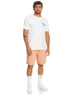 Quiksilver Trip Away Tracksuit Shorts In Beige 11 Quiksilver Trip Away Tracksuit Shorts In Beige -Nena & Pasadena Sales 977983660 6 720x928